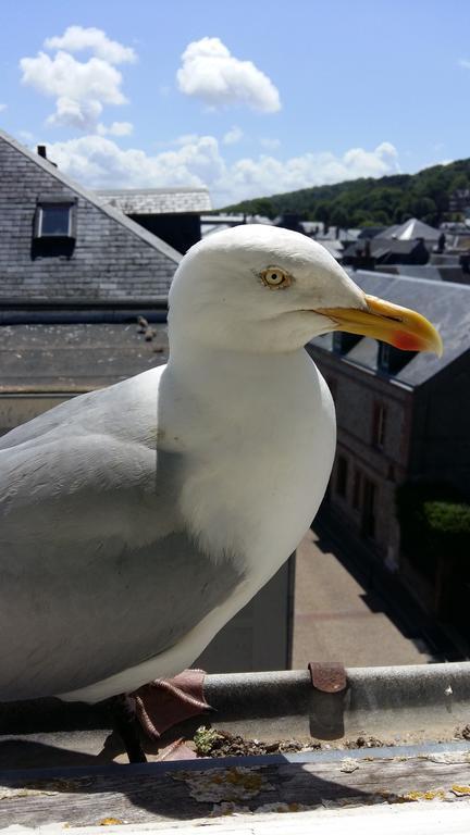 Les Galets Bleus Acomodação com café da manhã Étretat Exterior foto